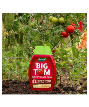 Westland Tomato Food 1Litre- For Juicy Best Tasty Tomatoes - Buy Online on GoSupps.com