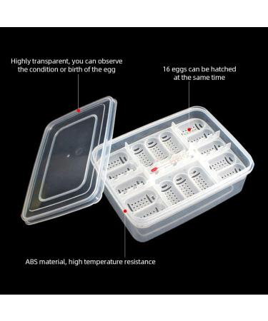 Snake Gecko Lizard Reptile Egg Incubator Tray with Thermometer | 16 Grids | Ideal for Snake, Lizard, Frog, Turtle | Incubation Box - Buy Online on GoSupps.com