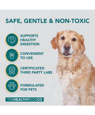 The Healthy Dog Co Joint Supplements for Dogs with Turmeric - 100ml - Buy Online on GoSupps.com