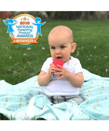 Innobaby TEETHIN' Smart August Birthstone Ring Teether - Peridot - Buy Online on GoSupps.com