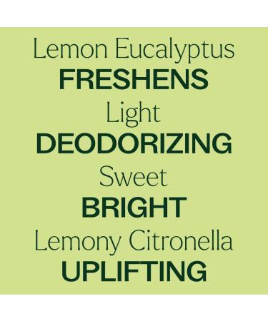 Plant Therapy Organic Lemon Eucalyptus Essential Oil 10 mL (1/3 oz) 100% Pure USDA Certified Organic Undiluted Natural Aromatherapy Fresh Scent for Deodorizing - Buy Online on GoSupps.com