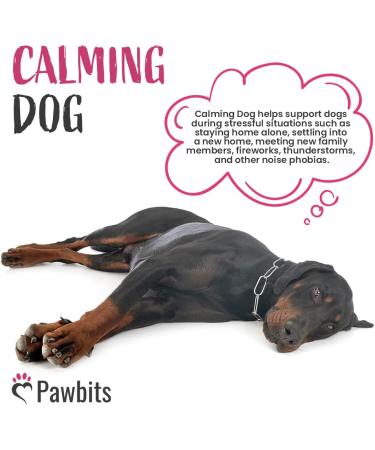 Pawbits 60 Calming Tablets for Anxious Dogs - Natural Calm Aid for Fireworks, Travel & Vet Visits - Buy Online on GoSupps.com