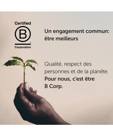 Illy INTENSO Lungo Compatible Ground Coffee Capsules 10 Packs of 10 Capsules Total 100 Capsules - Buy Online on GoSupps.com