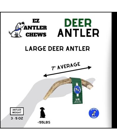EZ Antler Chews - Deer Antlers for Dogs - Large Whole - Dogs Under 55lbs - Long Lasting Dog Treats Dog Chews - Marrow Bone Dog Treats - Naturally Shed Preservative Free Cruelty Free - Antler Dog Chew - Buy Online on GoSupps.com