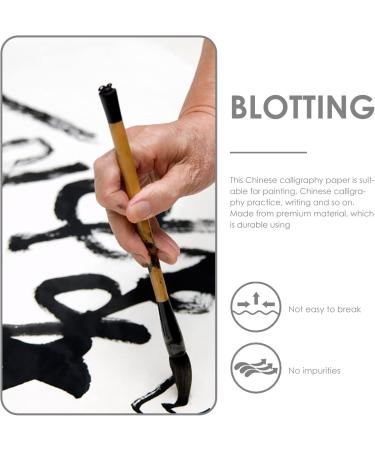 NUOBESTY 100pcs Sumi Professional Practice Brush Art Xuan Writing Diy Traditional Chinese Calligraphy Papers White 34.5X34.5X0.1CM - Buy Online on GoSupps.com