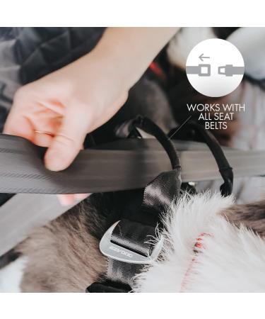 Ezydog Safety Crockery Dog Harness - Crash Tested Car Seat Belt for Dogs | Best Medium Black Dog Harness for Safe Travel - Buy Online on GoSupps.com