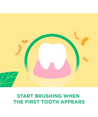 Buy GUM Baby Toothbrush | Soft Bristles & Extra Small Head | Ideal for 0-2 Years | Longer Handle | International Shipping Available - Buy Online on GoSupps.com