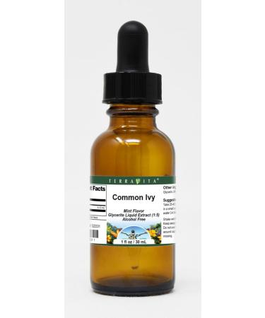 Common Ivy Glycerite Liquid Extract (1:5) - Mint Flavor 1 oz | International Shipping Available - Buy Online on GoSupps.com