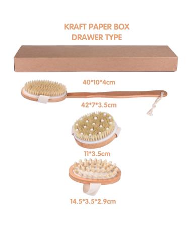 3 Pack Bath Dry Brush Set for Body Exfoliation & Shower Massage - Natural Soft and Stiff Bristles with Long Handle and Pumice Brush Included - Buy Online on GoSupps.com