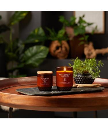 WoodWick Renew Medium Candle - Cherry Blossom & Vanilla | 6oz Plant-Based Soy Wax Upcycled Materials 55 Hours Burn Time - Buy Online on GoSupps.com