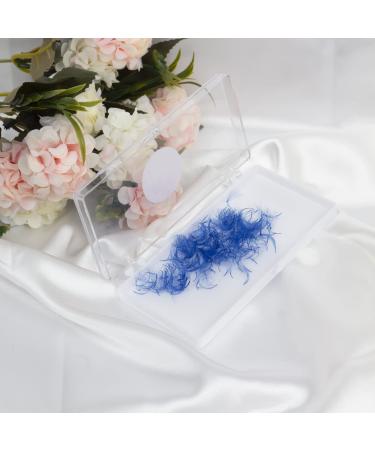 VNE 500 Fans Colorful Lash Extensions | Premade Volume & Mega Volume Fans | Blue 6D | 14mm D Curl - Buy Online on GoSupps.com