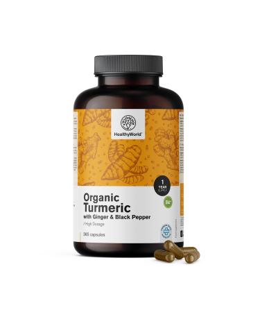 Be Healthy Group doo BIO Turmeric 480 mg with Ginger and Black Pepper 365 Capsules 1 year supply Combination of Natural Ingredients To Support the Immune System and the Whole Body