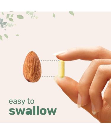 Safran d tendez votre esprit soulagez le stress et d tendez-vous au quotidien. - Buy Online on GoSupps.com