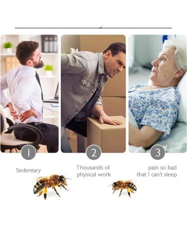 FLLUOUZH 2 Pcs Bostore Canadian Bee Venom Alleviating Bone Pain Bostore Canadium Bee Venom Cream Bee Venom Joint Relief Cream for Back Neck Hands Feet - Buy Online on GoSupps.com