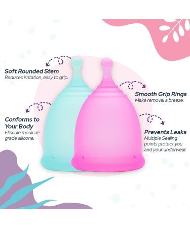 Ecoblossom Menstrual Cup Sterilizer - 2-Minute Automatic UV Cleaner for Small & Large Period Cups - Buy Online on GoSupps.com