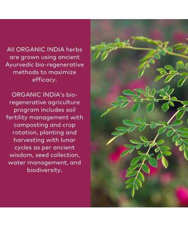 Buy Organic India Triphala - 90 Vegetarian Capsules for Digestive Health - Buy Online on GoSupps.com