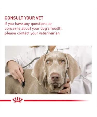 Royal Canin Light Weight Care Wet Adult Dog Food 85g (Pack of 12) Meat 85 g (Pack of 12) - Buy Online on GoSupps.com