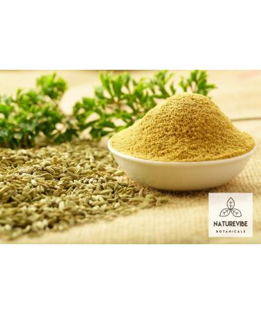 Naturevibe Botanicals Organic Fennel Seed Powder 1lb - Premium Foeniculum Vulgare Powder - Buy Online on GoSupps.com