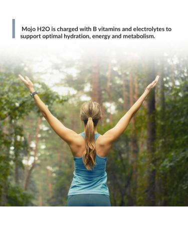 Mojo H2O Natural Water Enhancer Drops with B Vitamins and Electrolytes - Energy Support, Sugar-Free, Zero Calories - Mandarin Orange Flavor (4 pk) - Buy Online on GoSupps.com