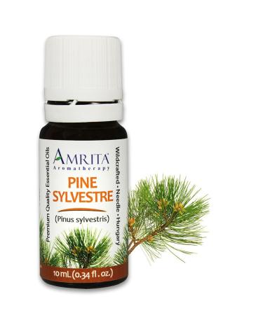 Pine Sylvestre Essential Oil 100% Pure Undiluted Pine sylvestris Therapeutic Grade Premium Quality Aromatherapy Oil Tested & Verified 10ML 0.34 Fl Oz (Pack of 1)