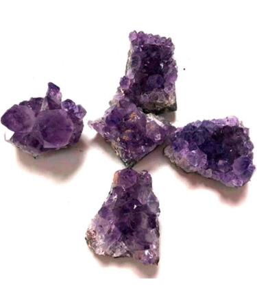1/5/10PC 1PC/40-50g Natural Purple Amethyst Quartz Crystal Cluster Stone Rock Specimens Ornament Home Decor Gift JITZEGMD (Color : Purple Size : 10Pcs) 10Pcs Purple - Buy Online on GoSupps.com