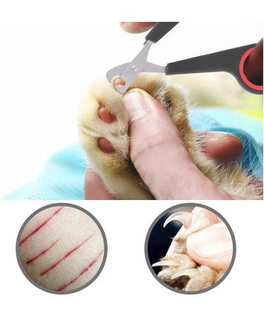 Professional Parrot & Cat Nail Clippers - Pet Claw Scissors for Small Animals & Kittens | Fast International Shipping - Buy Online on GoSupps.com