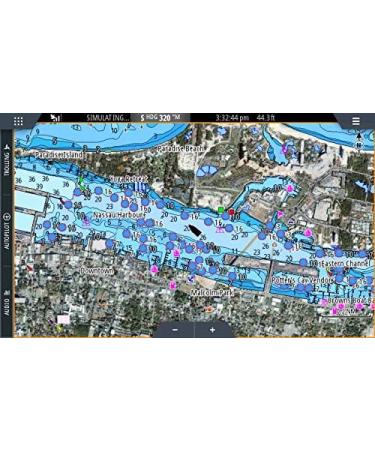 C-MAP Reveal Lake Charts with Shaded Relief & Custom Depth Shading - South East US Lakes - Buy Online on GoSupps.com