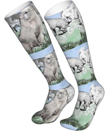 Great Pyrenees Compression Socks for Men & Women - 15-20 mmHg Support for Running & Cycling - Buy Online on GoSupps.com