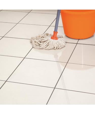 HG Shine Care 1L Tile Cleaner | Floor Fresh - Effective International Shipping - Buy Online on GoSupps.com