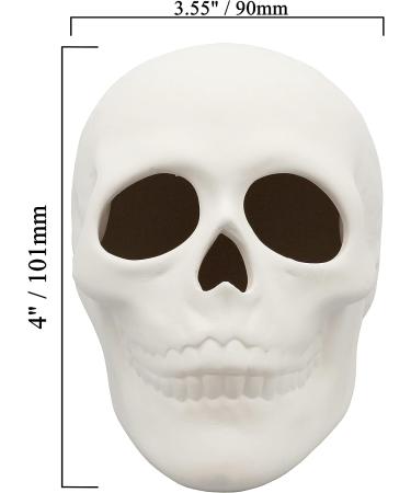 5x4 Inch Skull Ceramic Bisque - Paint Your Own Pottery Kit Included - Buy Online on GoSupps.com