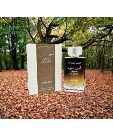Ameer AL Oudh Deodorant Inside Eau de Parfum | long lasting fragrance | eau de perfum | For men & Women | 100ml - Buy Online on GoSupps.com