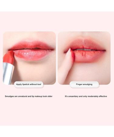 Professional Lipstick Brush Round Lip Brushes 3 Pieces Artificial Fiber Multipurpose Portable with Makeup Sponge Portable Cosmetic Tool - Buy Online on GoSupps.com
