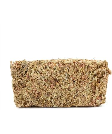 Terra Exotica Sphagnum Moss - Premium 300g Peat Moss for Garden Houseplants & Terrariums | Fast International Shipping - Buy Online on GoSupps.com
