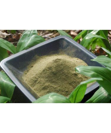 Krauterino24 Krauterino24 - Ground bearberry leaves quantity: 1000 g