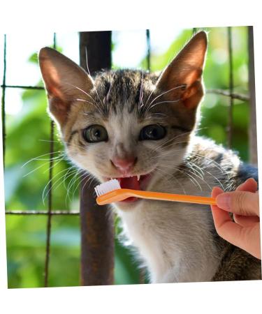 CIYODO Pet Toothpaste 8pcs Double Head Dog Toothbrush Dog Paw Print Large Pet Toothbrush - Buy Online on GoSupps.com