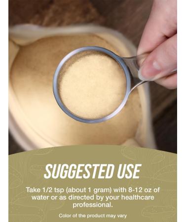 BulkSupplements.com Tremella Mushroom Extract - Tremella Fuciformis Extract Mushroom Supplement - Vegan & Gluten Free 1g per Serving 500g (1.1 lbs) (Pack of 1) 17.64 Ounce (Pack of 1) - Buy Online on GoSupps.com