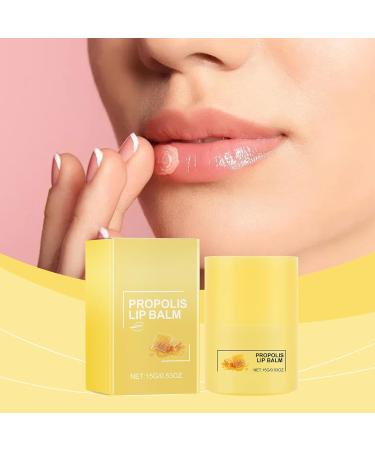  Beslibate Moisturizing Lip Balm Bee Lip Butter Bee Lip Balm 12 Hours Long Lasting Hydration Moisturizing Dried Lips for Daily Use 15g Lipmask-3 - Buy Online on GoSupps.com