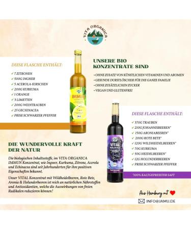  VITA ORGANICA Vita Organica Vital Concentrate 500 ml - Organic Wellness Drink with Cold Pressed Super Fruits - Grapes Blackcurrant Chokeberry Beetroot and Turmeric - Vegan Gluten Free No Added Sugar - Buy Online on GoSupps.com