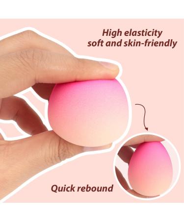 4 Pieces of Makeup Sponges 1 Piece of Non-woven Bag Beauty Sponge Flawless Makeup Set Soft and Skin-Friendly Gradient Sponge Suitable for Makeup and Beauty - Buy Online on GoSupps.com