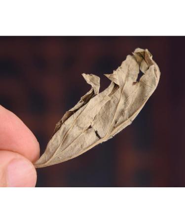 cn herb 250g Dried Mugwort Leaves Soak Feet In A Bath - Buy Online on GoSupps.com