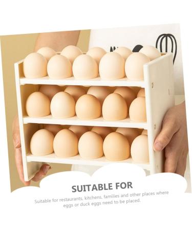 Mikinona Garnish Tray Egg Storage Box Decorative Storage Boxes Eggs Organic Cage Egg Storage Rack Crisper Egg Holder - Buy Online on GoSupps.com
