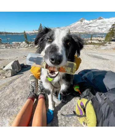 Weightless Hydration Oil Mist Combo Pack - SPF 15 & SPF 30 | International Shipping Available - Buy Online on GoSupps.com