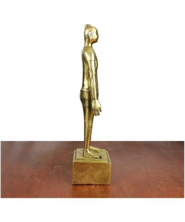 Human Acupuncture Pattern - Pure Copper Acupuncture Figurine Human Body Acupuncture Body Chinese Medicine Acupuncture for Model Studio Medical erbrist  - Buy Online on GoSupps.com