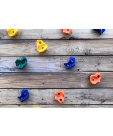 KINSPORY 10Pc Colourful Pig Nose Shape Kids Rock Climbing Holds with Blue Handles - Playground Set with Mounting Hardware - Buy Online on GoSupps.com