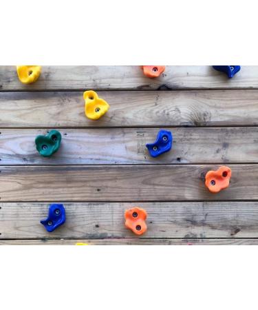 KINSPORY 10Pc Colourful Pig Nose Rock Climbing Holds with Two Blue Handles - Kids Playground Set with Mounting Hardware - Buy Online on GoSupps.com