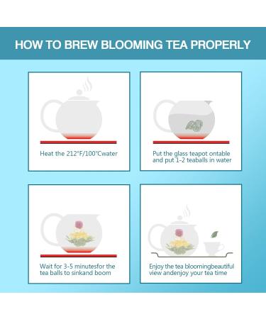 TETWIN Blooming Tea 12 Varieties Gift Canister - Hand-Tied Flowering Tea with White Tea Leaves and Edible Flowers (12 Count) - Buy Online on GoSupps.com