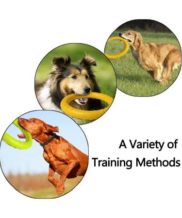 NA 2pcs Dog Toys Ring Outdoor Fitness Flying Discs Water Floating Dog Interactive Training Ring for Small Dog and Medium Dog - Buy Online on GoSupps.com