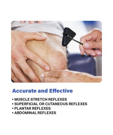 Santamedical Taylor Percussion Hammer - Professional Reflex Testing Tool - Buy Online on GoSupps.com