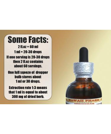 Wild Carrot Alcohol-Free Seed Glycerite Herbal Supplement 2oz - Daucus Carota Extract - Buy Online on GoSupps.com
