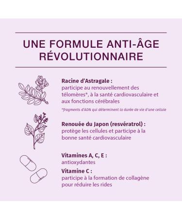 PhytoResearch Telomerys Anti-Aging Food Supplement Vitamins and Plants Vitamin A Vitamin C Vitamin E Astragalus Knotweed - 60 Capsules - 30 Days - Made in France - Buy Online on GoSupps.com